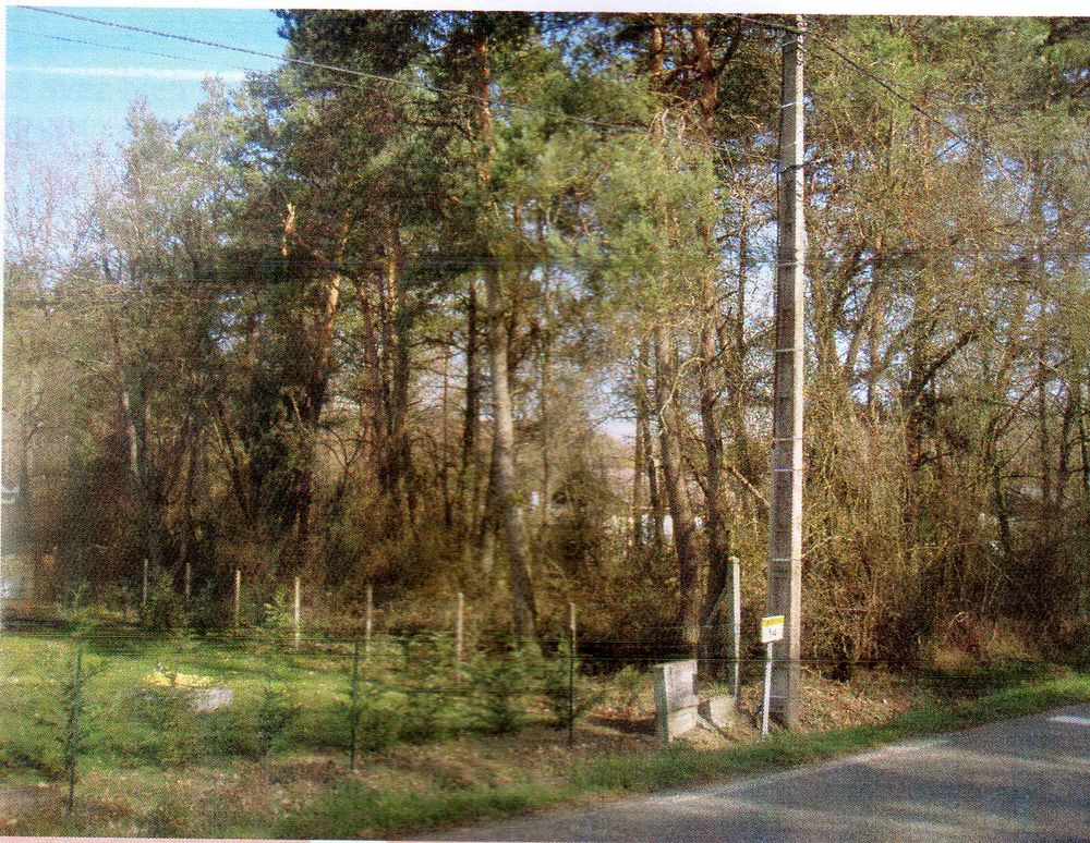Vente Terrain terrain bois� Nibelle