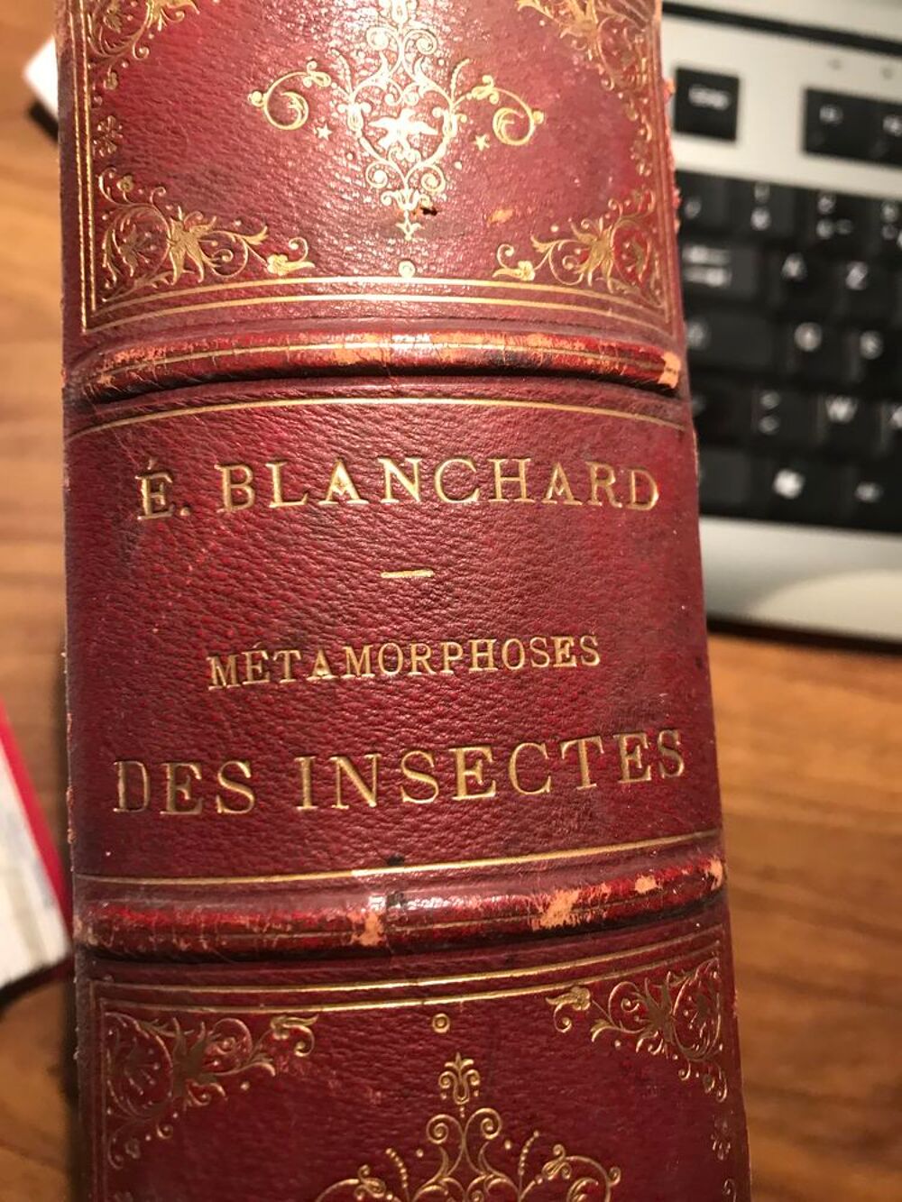 Livre ancien d'entomologie 