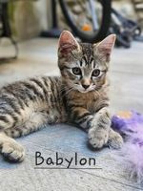   BABYLON 