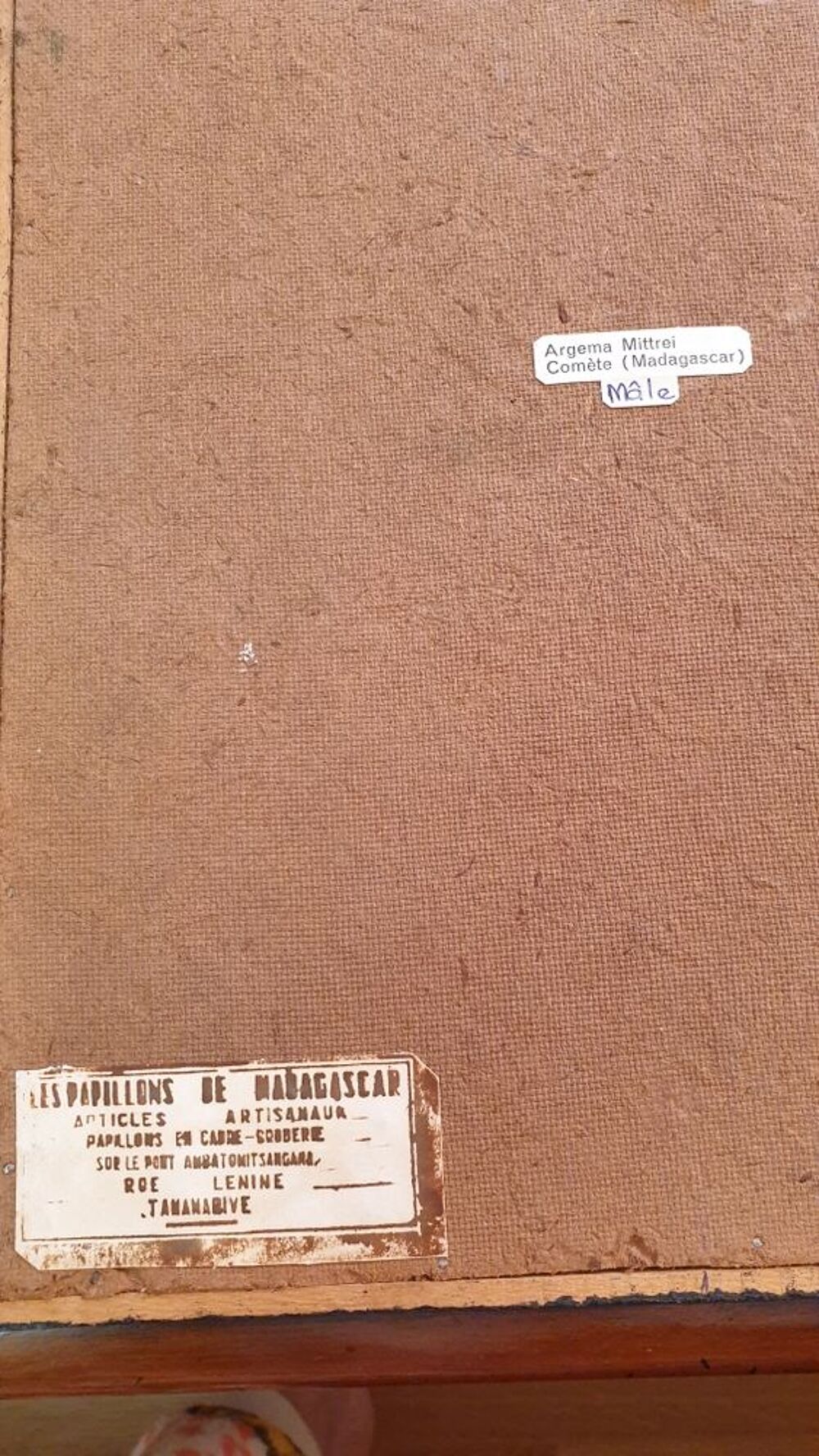 Fine peinture indon&eacute;sienne 