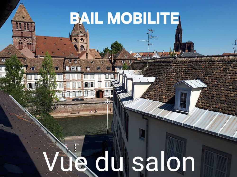 Location Appartement STRASBOURG CENTRE BELLE VUE BAIL MOBILITE Strasbourg