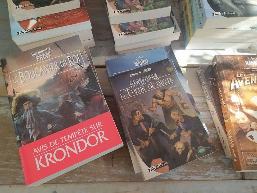 Lot Livres Romans Fantastiques Collection Bragelonne Livres et BD