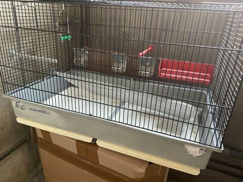 cage oiseaux complete occassion 30 66600 Rivesaltes