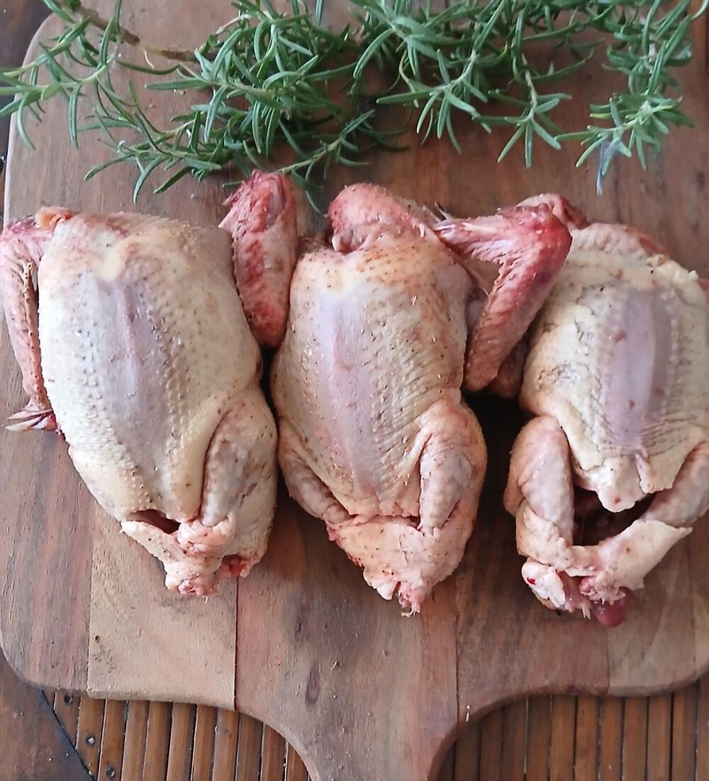   Pigeonneaux  