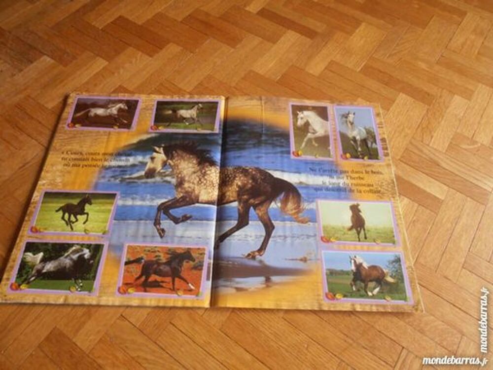 Album chevaux 2 (76) 