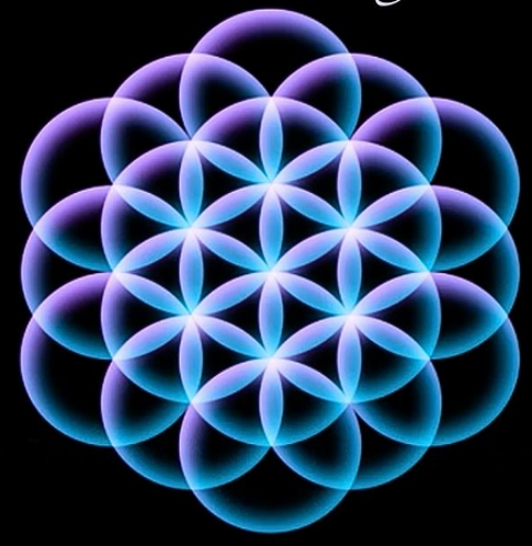 Cherche web rédacteur 0 83000 Toulon