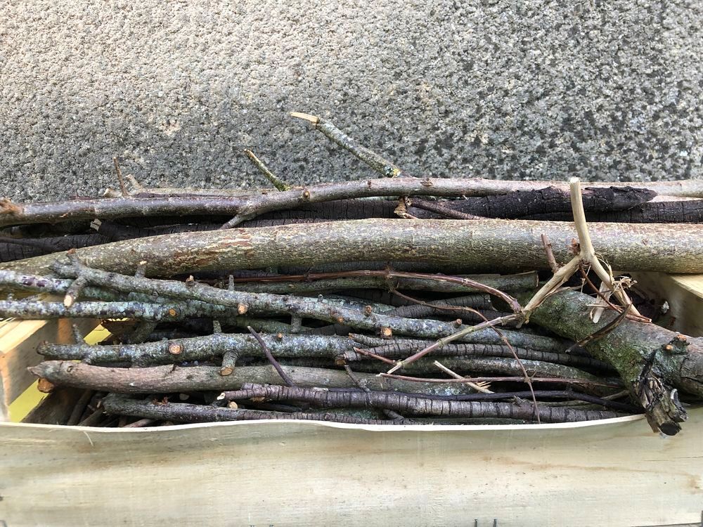 Don de petits et moyens bois de chauffage Jardin