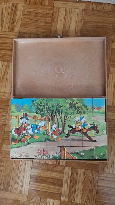 Cubes en bois modle Walt Disney Picsou/Donald/Mickey 15 Oberschaeffolsheim (67)