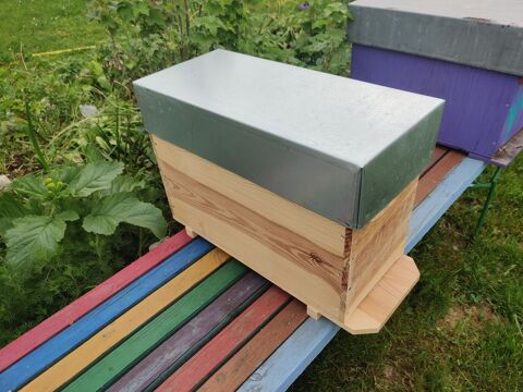 Essaim d'abeilles sur 5 cadres dadant (essaimage naturel) 135 01150 Blyes