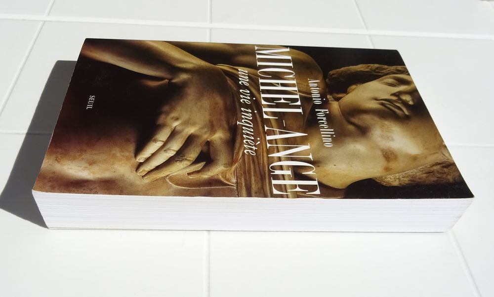 MICHEL-ANGE : UNE VIE INQUI&Egrave;TE FORCELLINO Grand format 2006 Livres et BD
