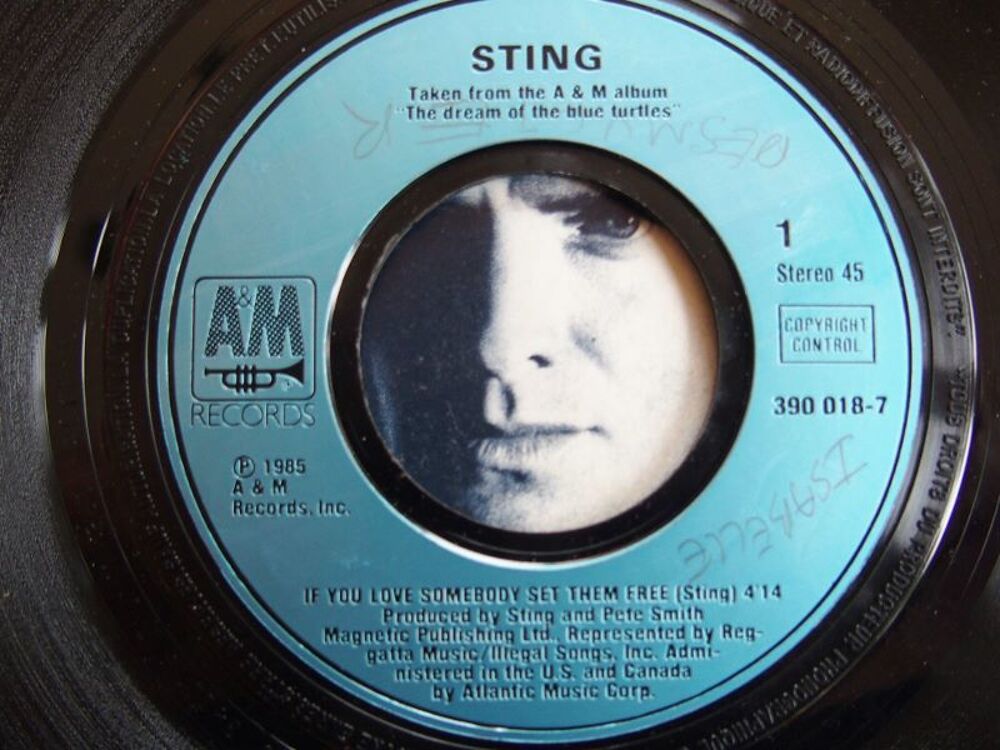 Vinyl STING CD et vinyles