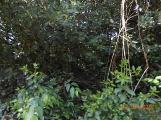  Terrain  vendre 680 m