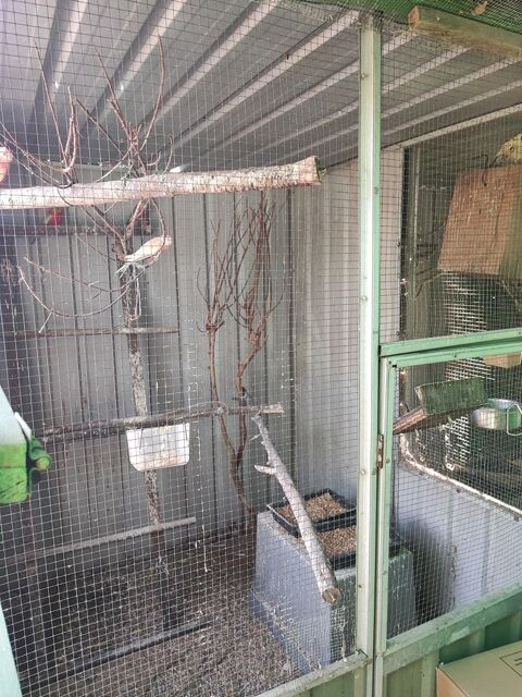 VOLIERES 50 38300 Bourgoin-jallieu