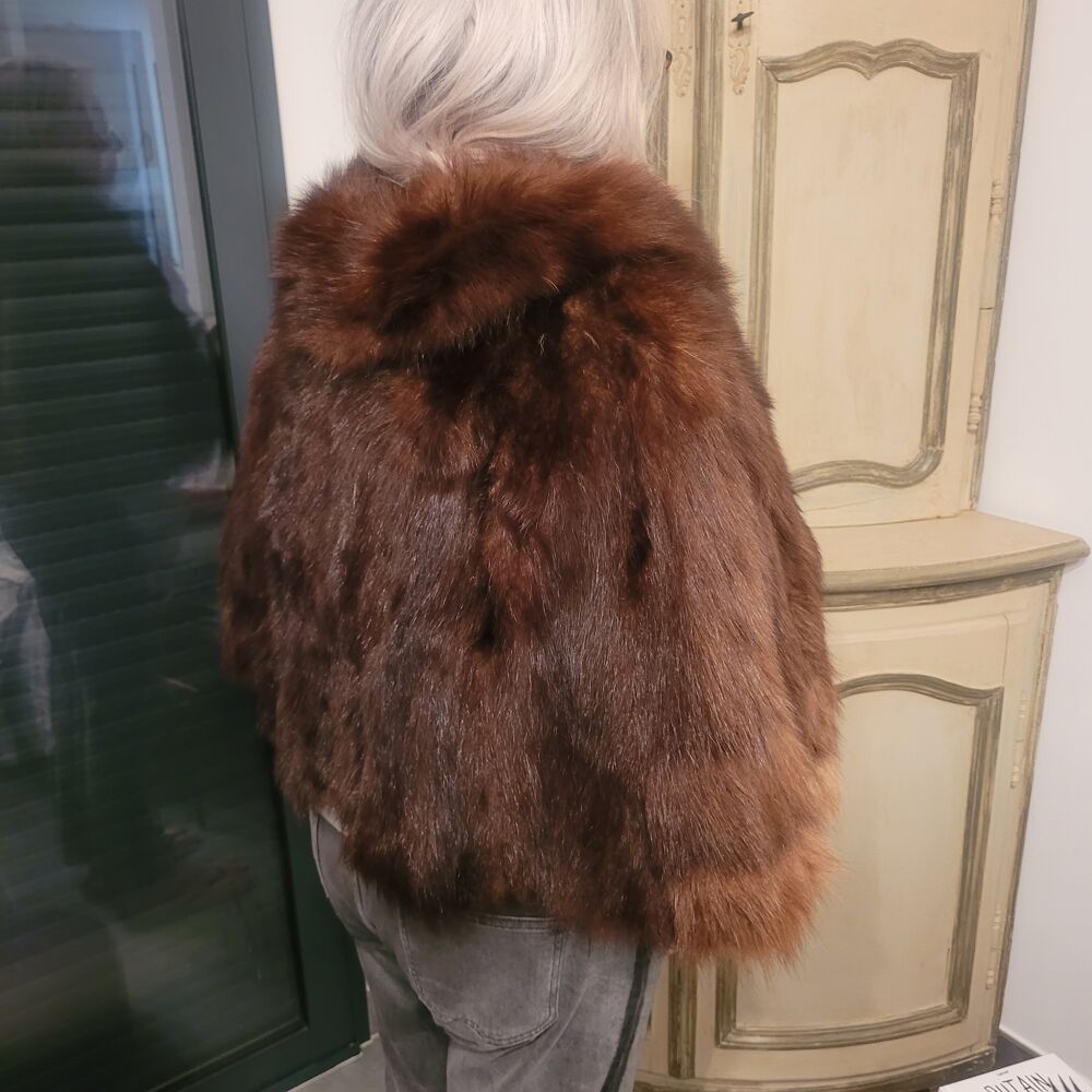  Objets chasse / Boutons / Taxidermie 