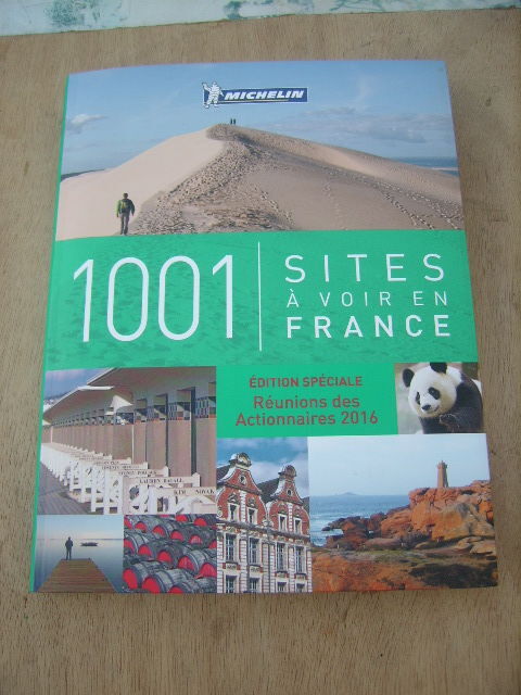 Livre Tourisme MICHELIN / 1001 Sites  voir en FRANCE
10 Clermont-Ferrand (63)
