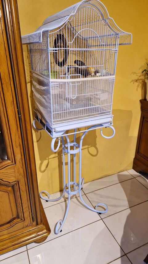 Voli&egrave;re + 2 deux jeunes canaris m&acirc;le 150 42153 Riorges