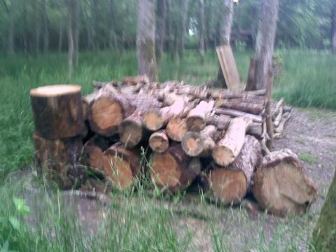 Gros bois de chauffage sec 40 Griselles (45)