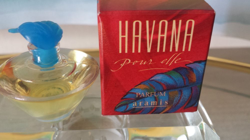 MINIATURE "HAVANA" 