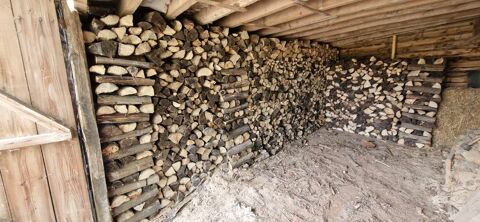 bois de chauffage 50 Brou (28)
