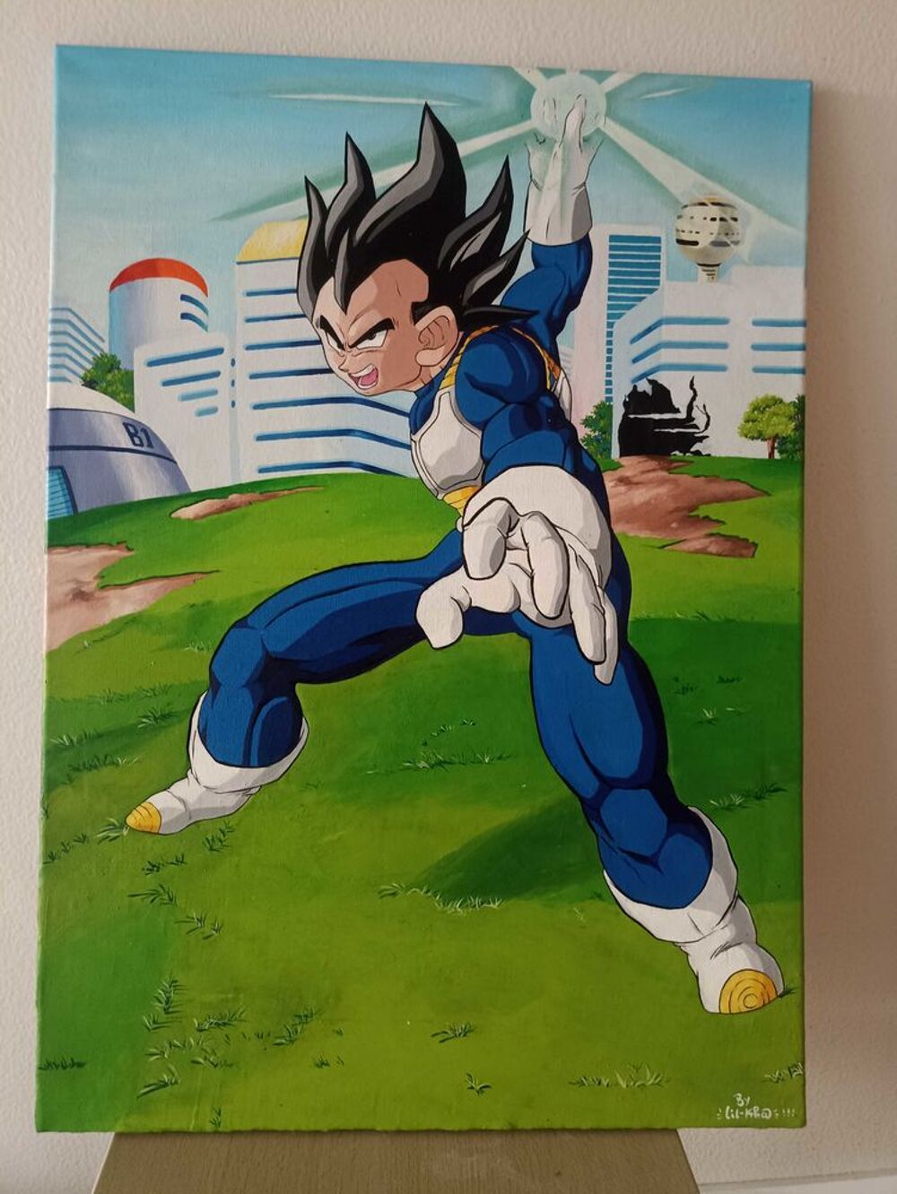 de tableau d&eacute;co dragon ball Z Décoration