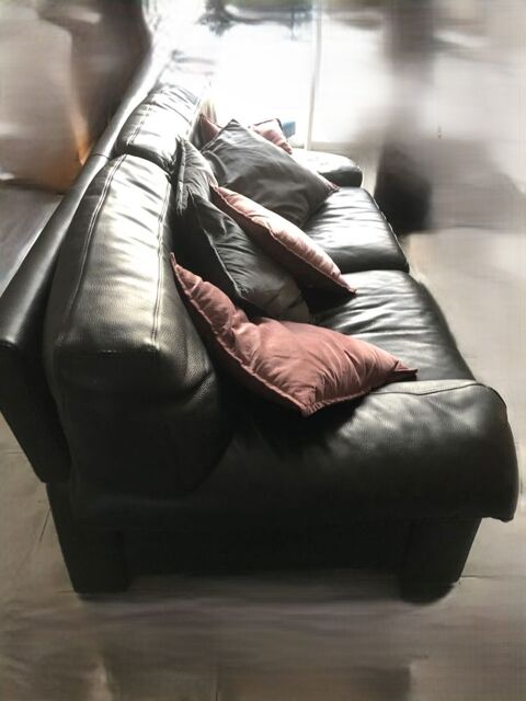 Canap� cuir 3 places 
Roche Bobois
TBE 0 Nieul (87)