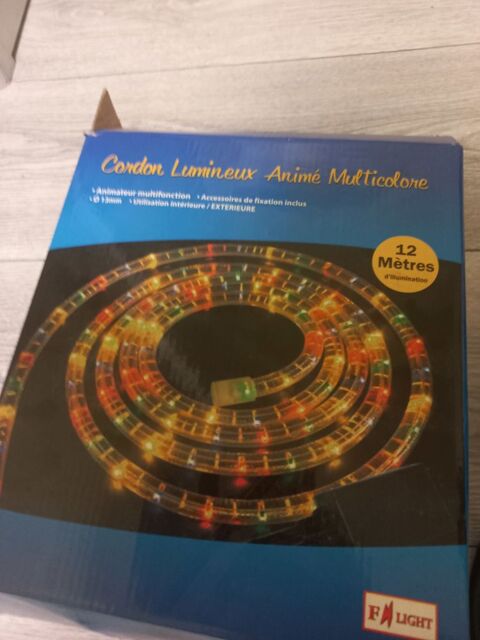 Guirlande led couleur 20 Gundershoffen (67)