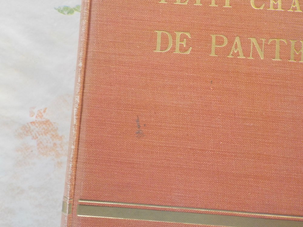 LE PETIT CHASSEUR DE PANTHERES N&deg;1 &agrave; 50 1928 ARNOULD GALOPIN Livres et BD