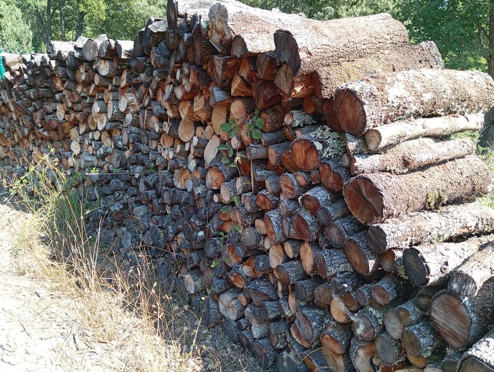 Bois de chauffage Jardin