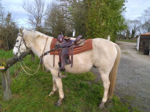 Cheval de Loisir 4000 85190 Aizenay