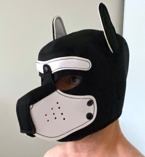 Cagoule masque chien 25 Nantes (44)