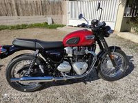 TRIUMPH 2021 occasion 66000 Perpignan