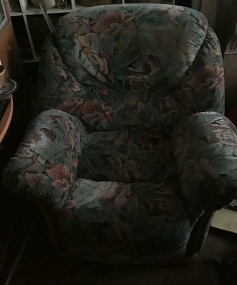 Fauteuil velours et bois 20 Verneuil-sur-Avre (27)