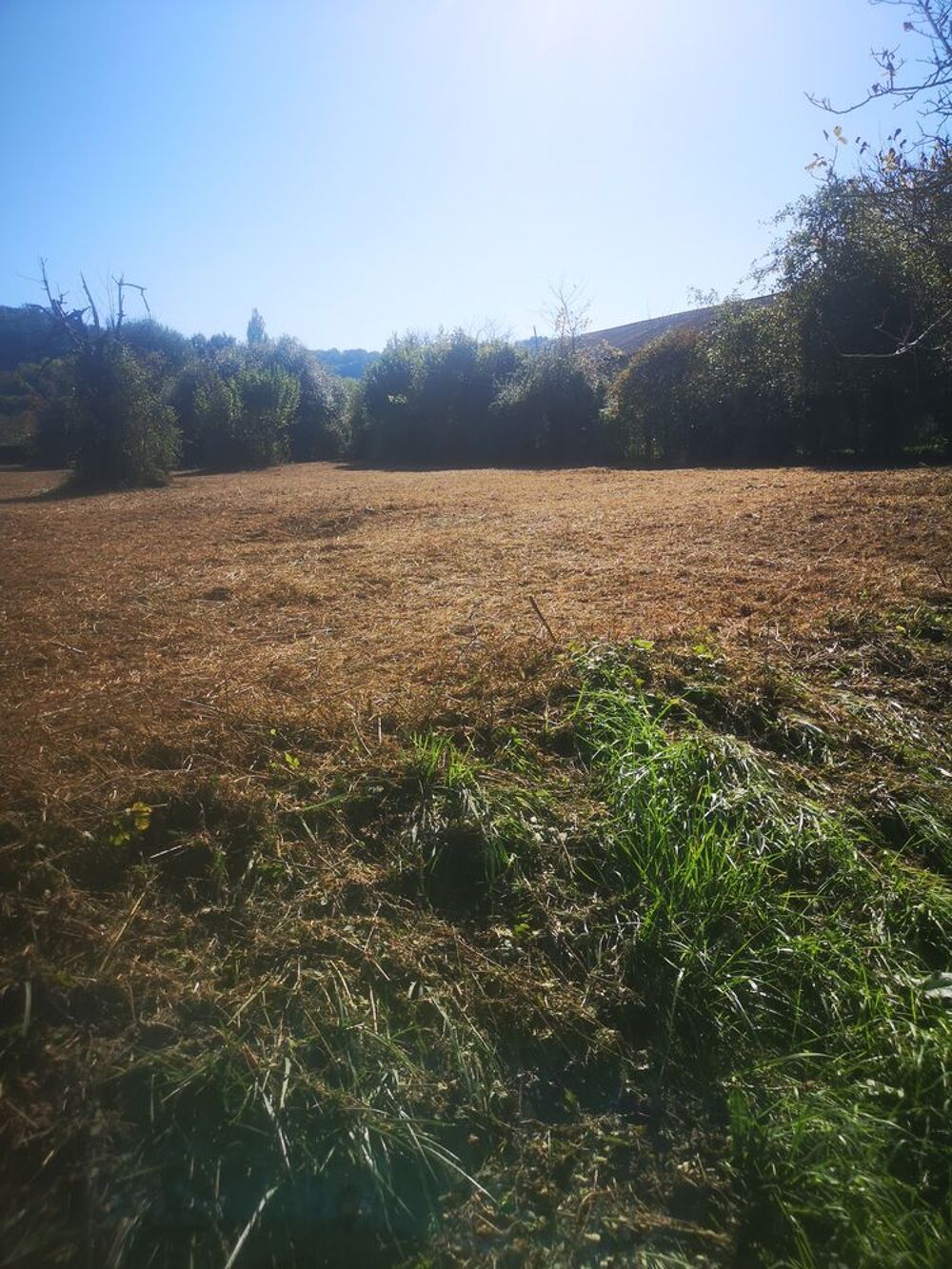 Vente Terrain Terrain constructible Saint-léon-sur-l'isle
