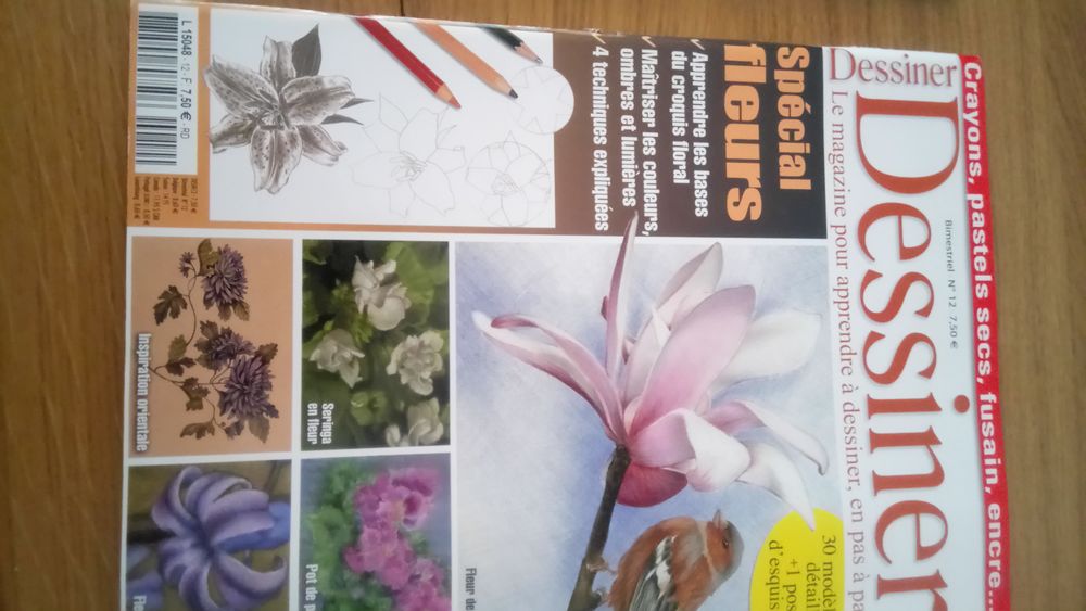 APPRENDRE A DESSINER Bricolage