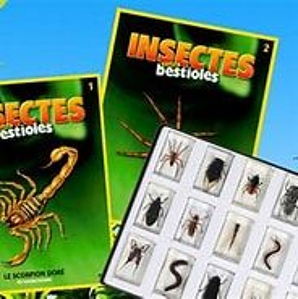 insectes 