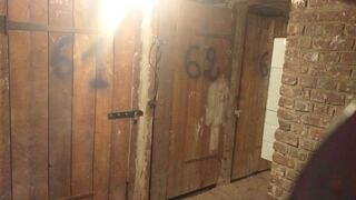  Atelier à louer 1 pièce 5 m²