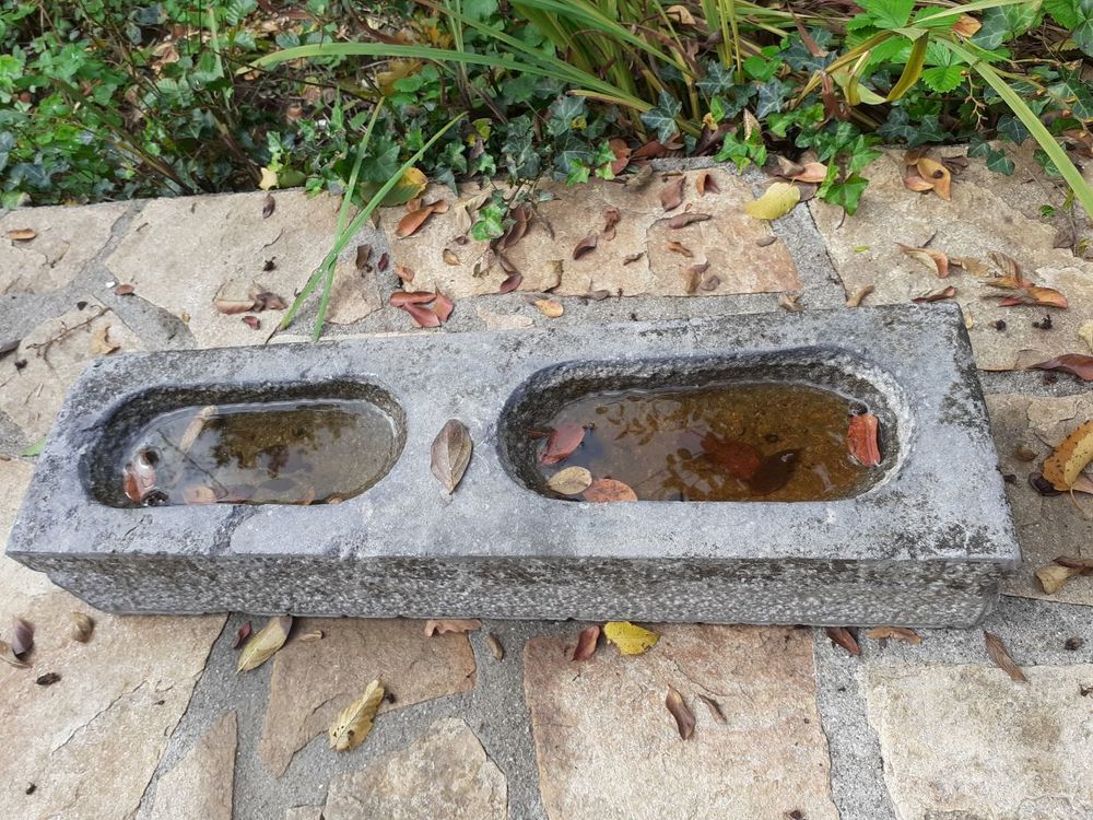 , . abreuvoir en pierre bleue pour chat ou chien Jardin