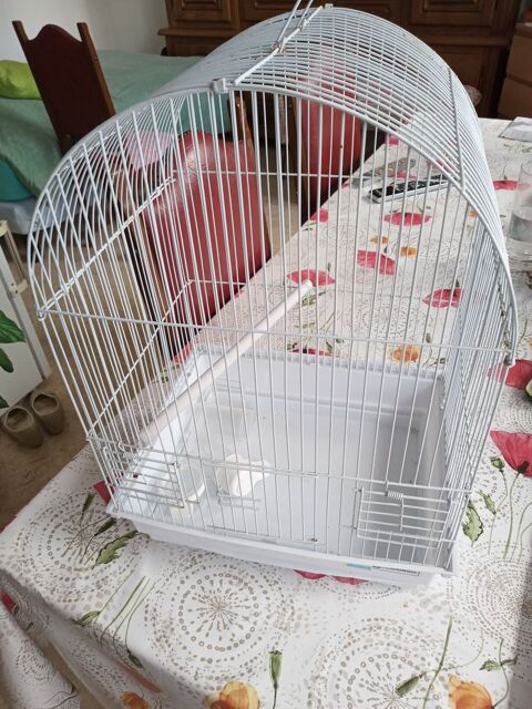 petite cage oiseau blanche 10 59800 Lille