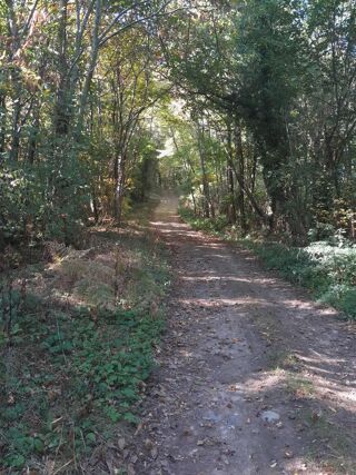  Terrain � vendre 1800 m� Ornacieux