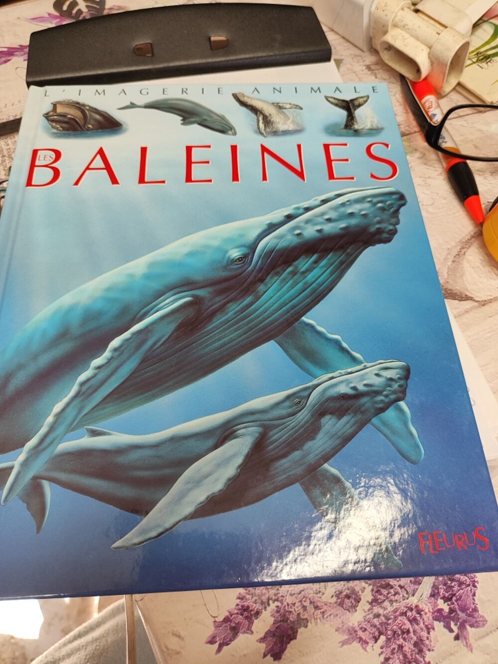 superbe livre neuf les baleines 