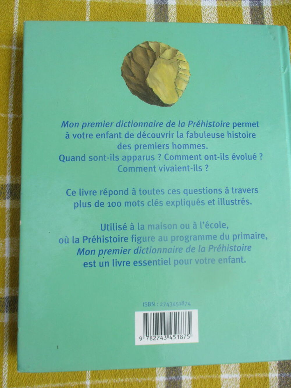 Livre " Mon Premier Dictionnaire de la Pr&eacute;histoire " Livres et BD