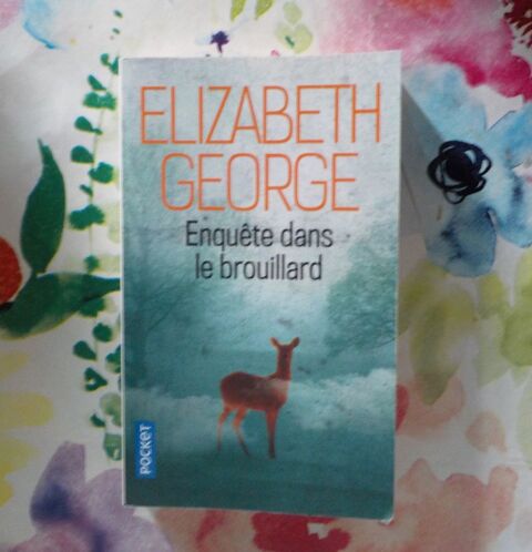 ENQUETE DANS LE BROUILLARD d'Elizabeth GEORGE Ed. Pocket 2 Bubry (56)