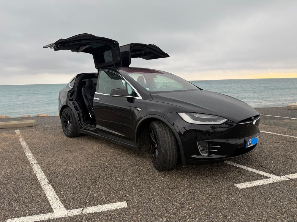 Model X MODEL X 100 kWh Dual-Motor Performance Palladium 2017 occasion 06270 Villeneuve-Loubet