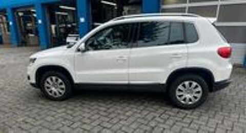 Tiguan 2014 occasion 20260 Calvi