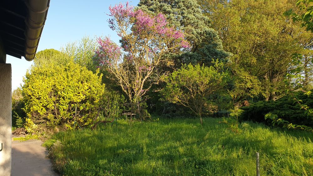 Vente Maison Maison 5 pièces 128 m2 avec terrain 2116 m2 Le thor
