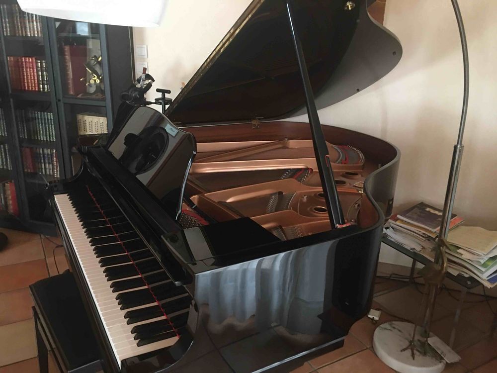piano Yamaha silent CG1 queue 145 cause d&eacute;m&eacute;nagement Instruments de musique