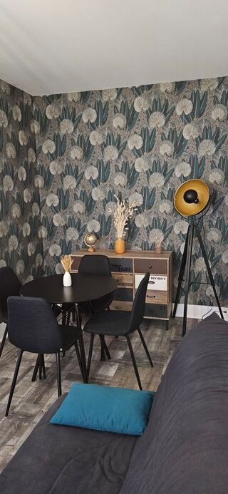  Appartement � louer 2 pi�ces 41 m�