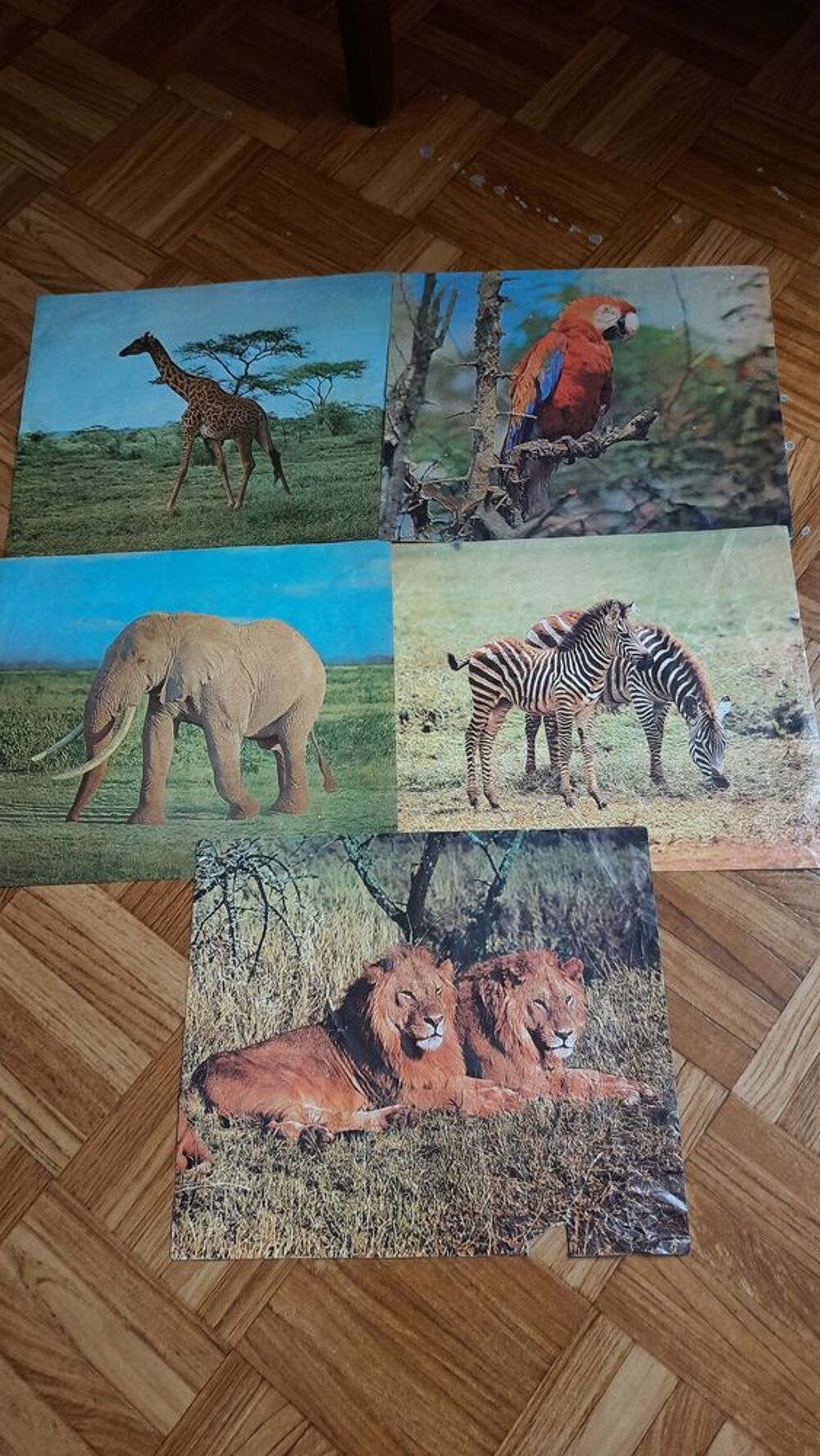 Cubes en bois ? Animaux Jeux / jouets