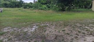  Terrain � vendre 1000 m�