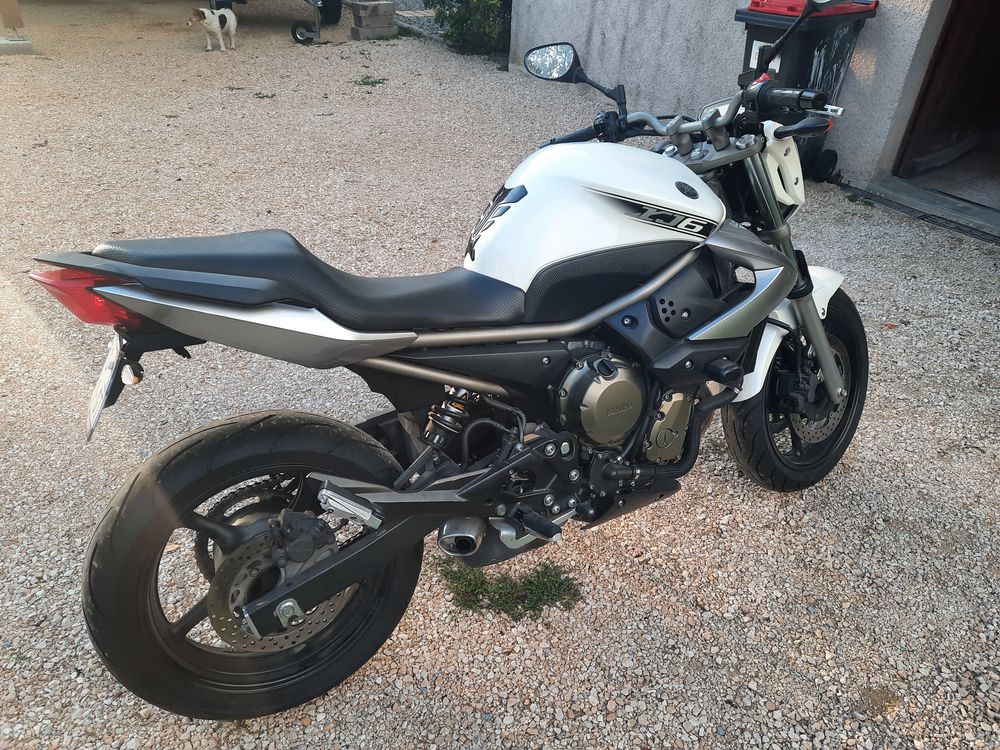 YAMAHA 2010 occasion 01110 Cormaranche-en-Bugey